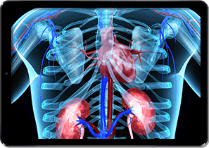 Online Anatomy & Physiology Course on iPad