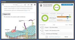 Textbook and gradebook for Corexcel's online Anatomy & Physiology course