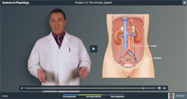 Example course video for Corexcel's online Anatomy & Physiology course