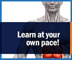 Learn at your own pace!